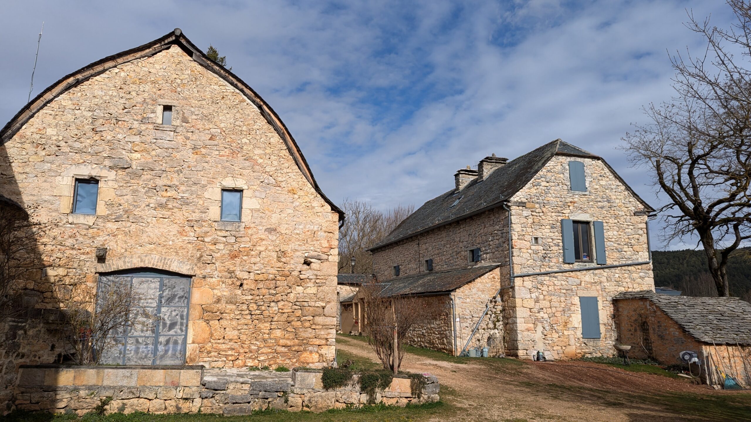 Left Image