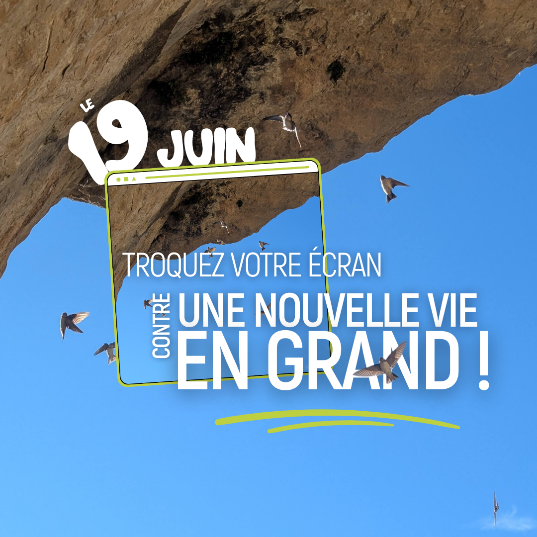 RLNV juin_V2